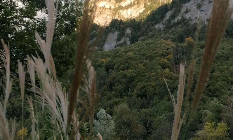 Business Apartments Business Apartments