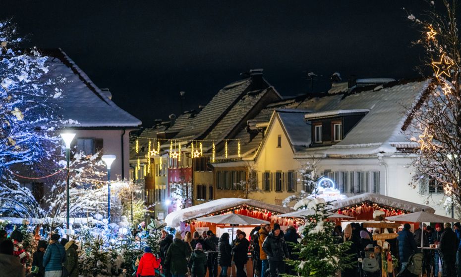 Einschaltfeier & Zauberwald