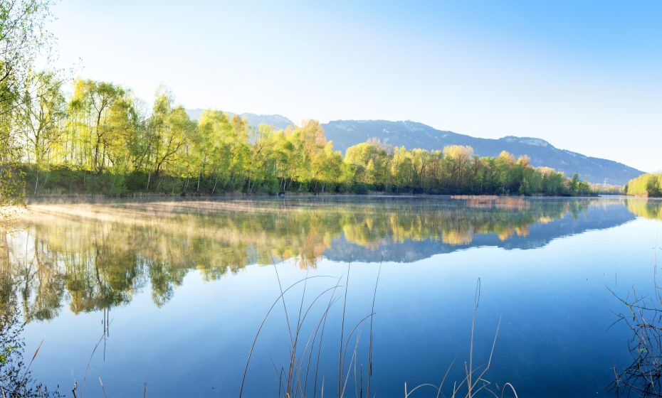 Sonnenaufgang Alter Rhein Hohenems Sonnenaufgang Alter Rhein Hohenems