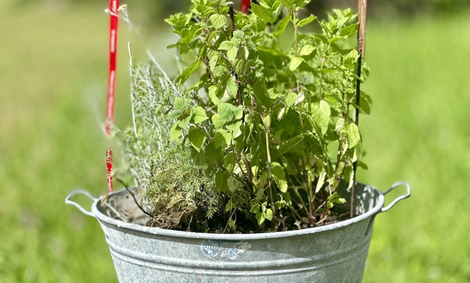 Probiar Amol Weg - Tirolerhof Probiar Amol Weg - Tirolerhof