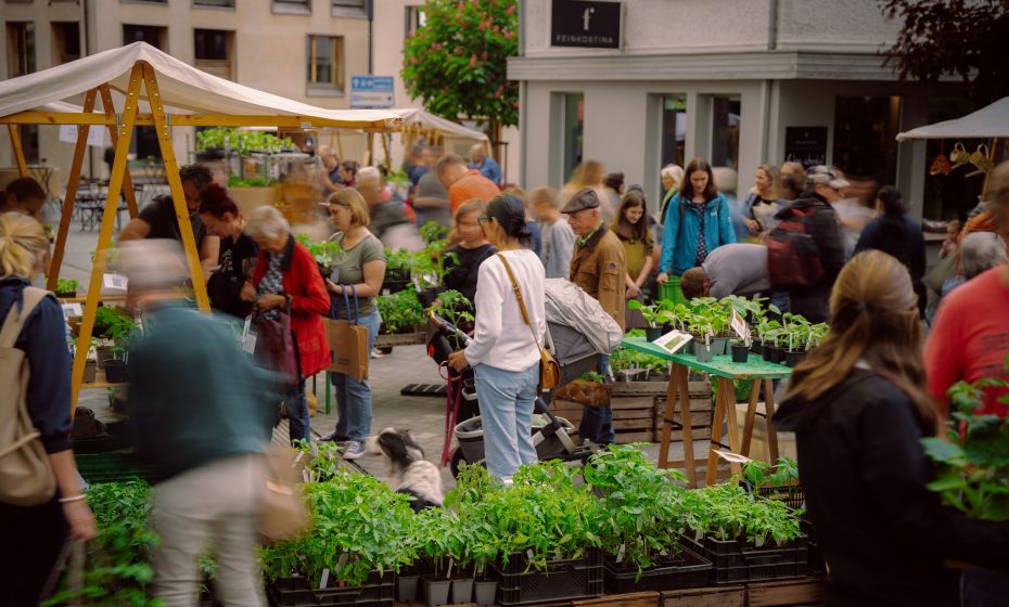 Bio-Jungpflanzenmarkt