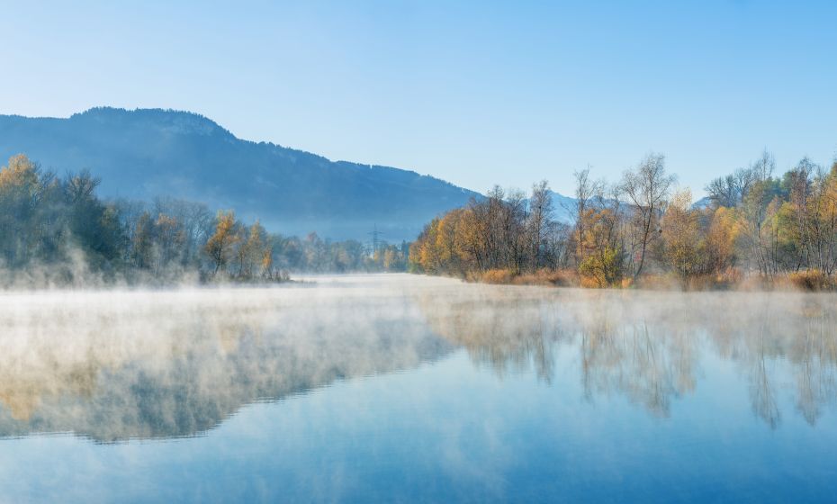Hohenems am Alten Rhein