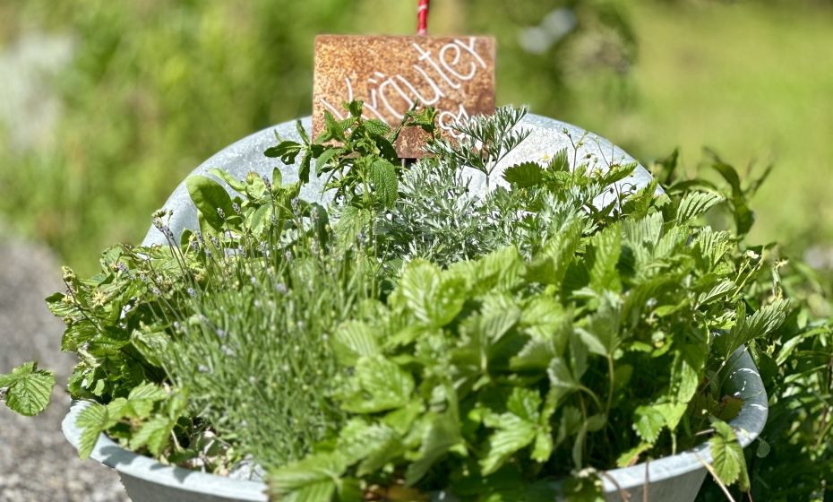 Probiar Amol Weg - Gerhard Blaas Probiar Amol Weg - Gerhard Blaas