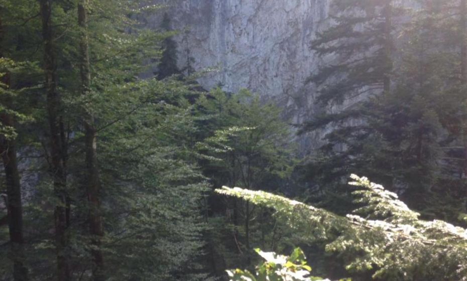 Landgasthof Hirschen