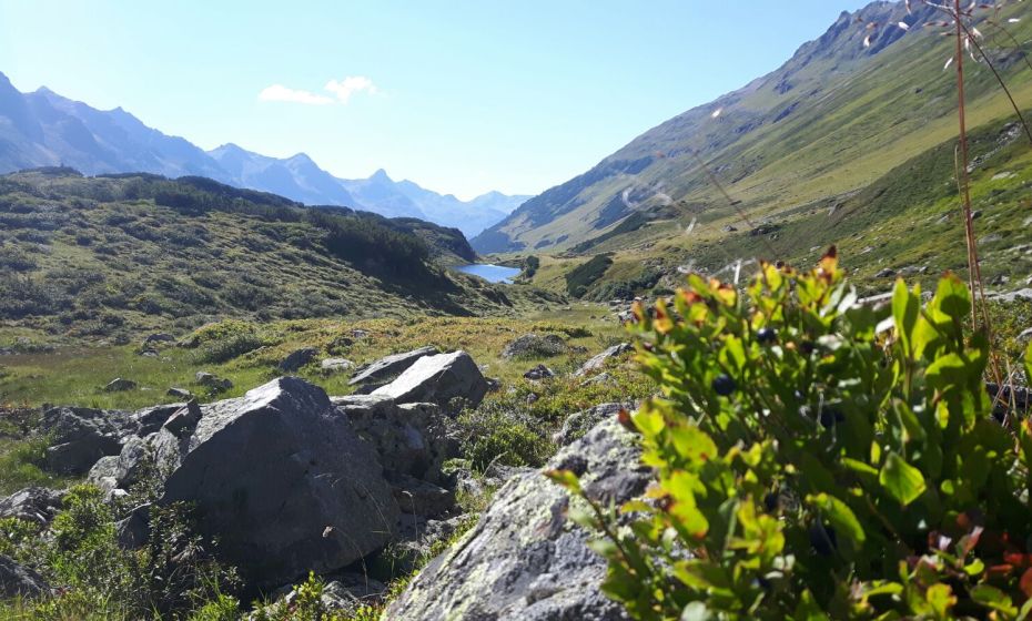 Emil-Roth-Weg, im Hintergrund der Langsee