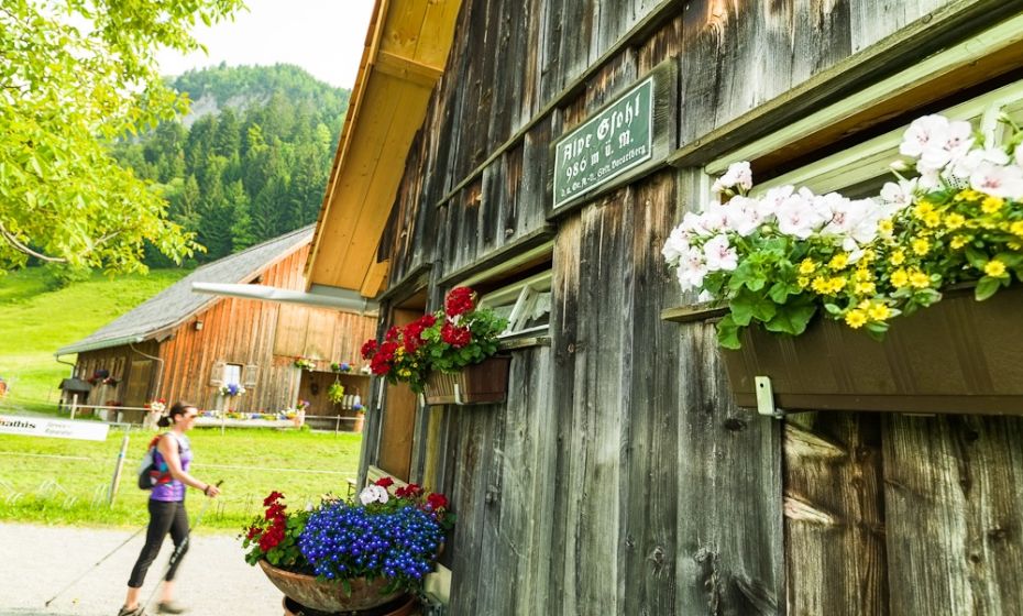 Michael Gunz .jpg.jpeg