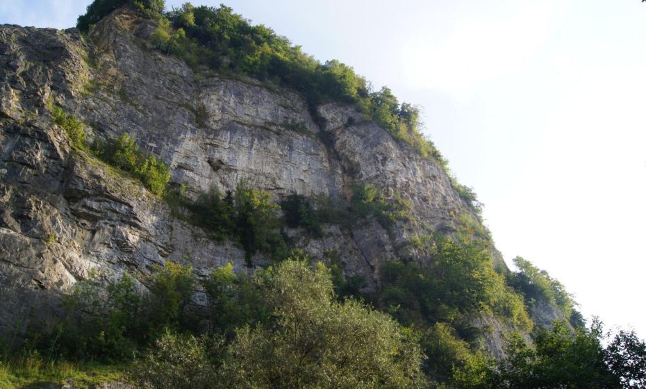 Landgasthof Hirschen Landgasthof Hirschen