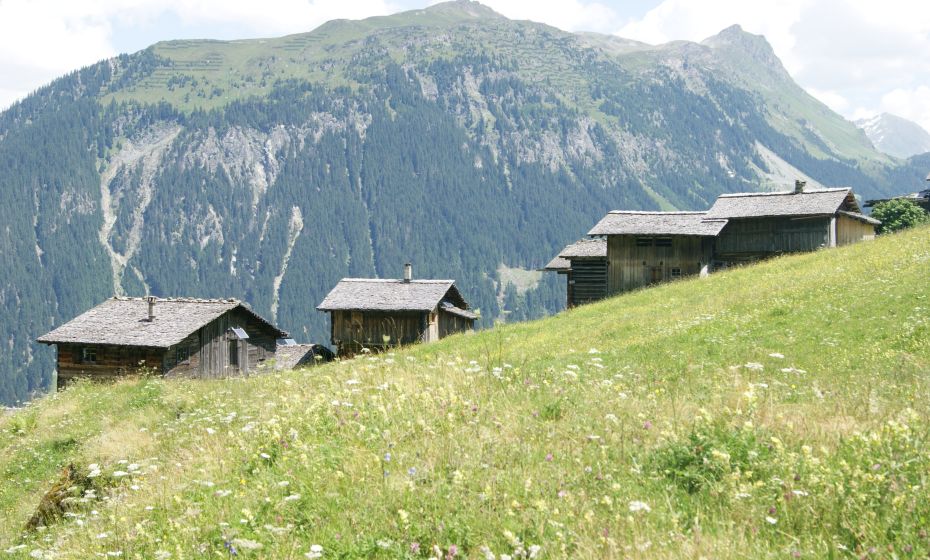 Maisäà Ganeu Maisäà Ganeu