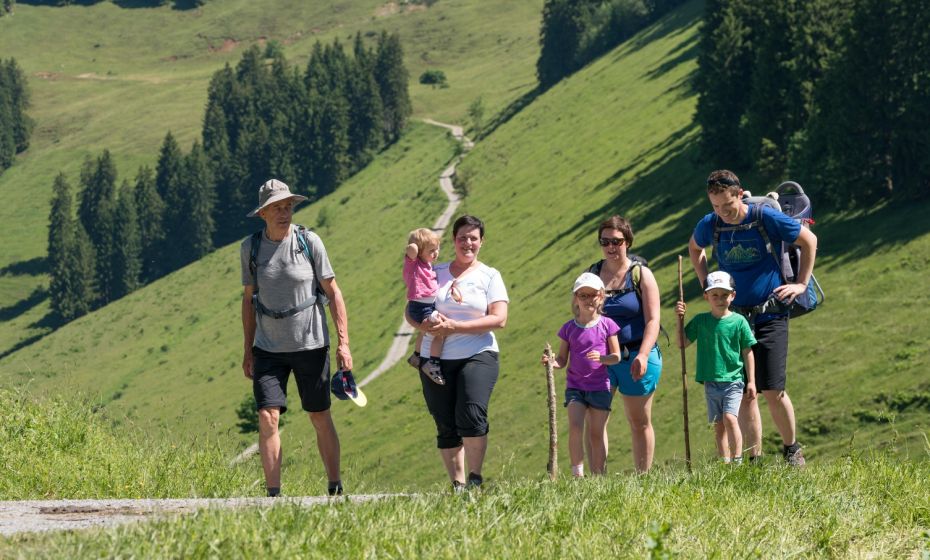 Stiplovsek Dietmar pauschal .jpg.jpeg