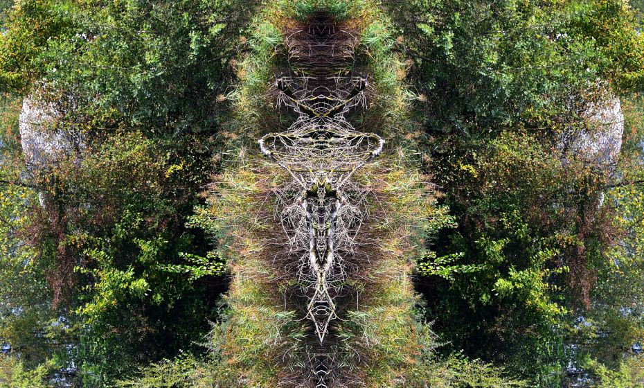 20_mother NATURE.jpg