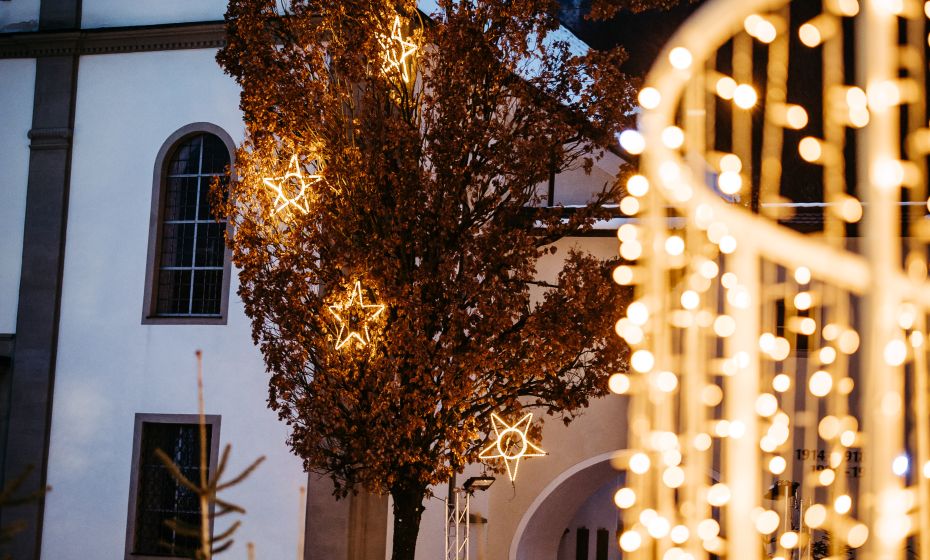 Zauberwald 2023 Zauberwald 2023