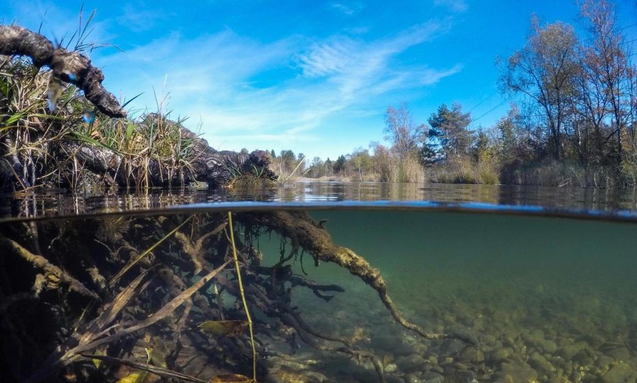 Motel Hohenems Motel Hohenems