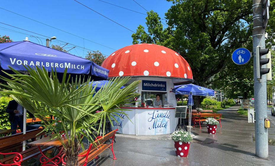 Milchpilz Bregenz