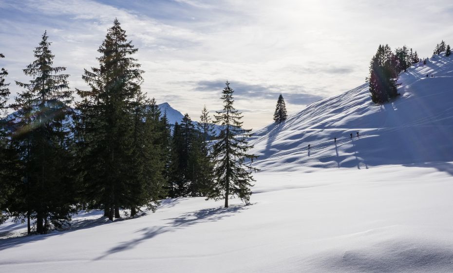 Schuttannen Winter Schuttannen Winter