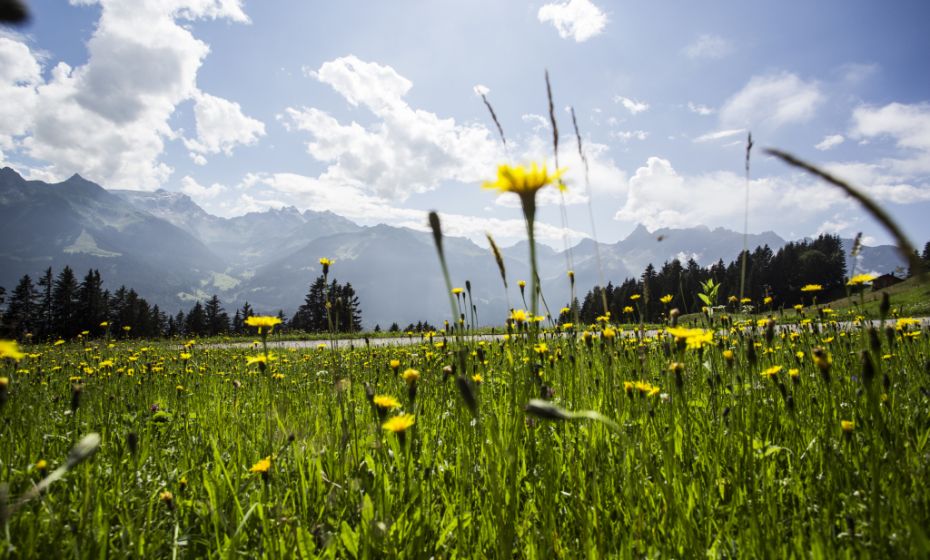 Blick von Bartholomäberg Blick von Bartholomäberg