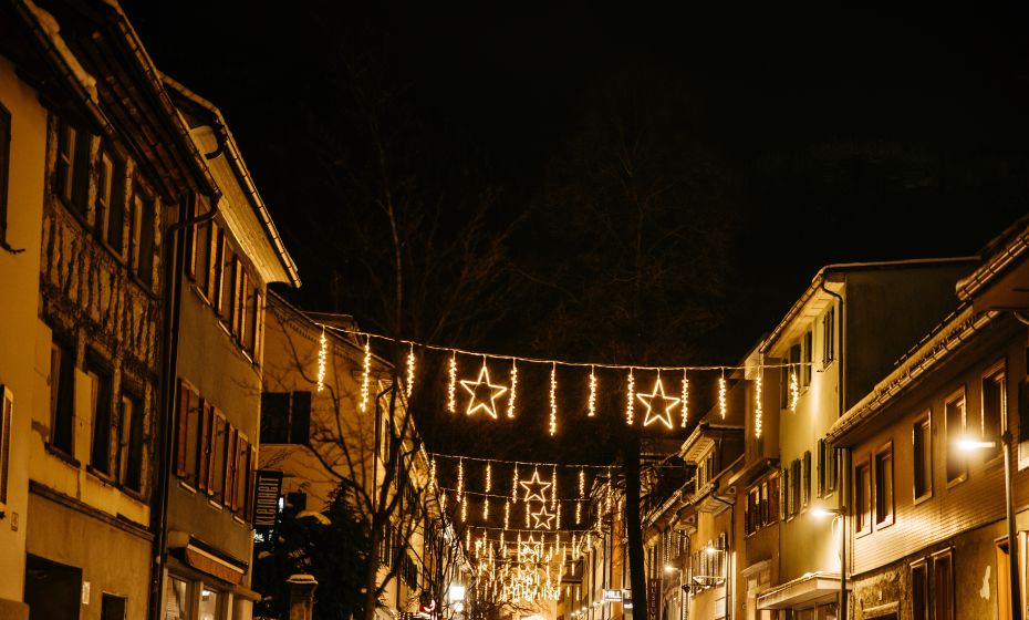 Zauberwald 2023 Zauberwald 2023