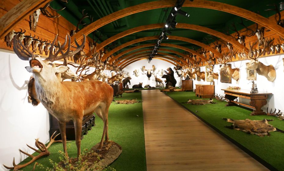 Arche Noah Museum Arche Noah Museum