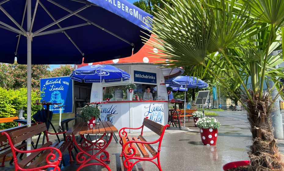 Milchpilz Bregenz