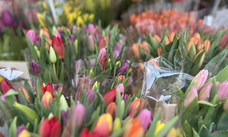 ximage00021 ximage00021