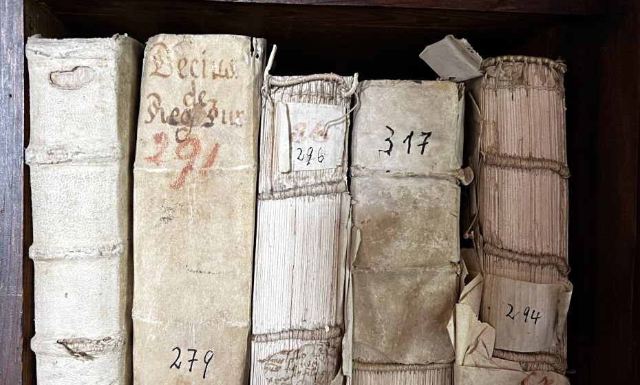 Palastführung Palastführung