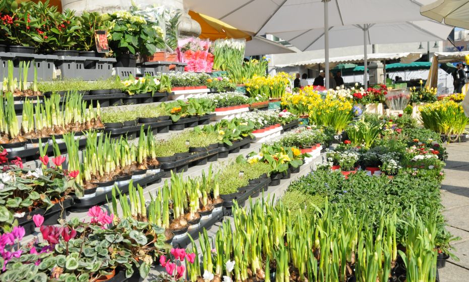 Wochenmarkt Wochenmarkt