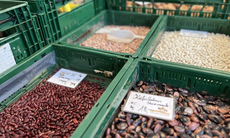 ximage00020.jpeg ximage00020.jpeg