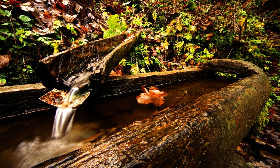 Brunnen Wildried Strecke Brunnen Wildried Strecke