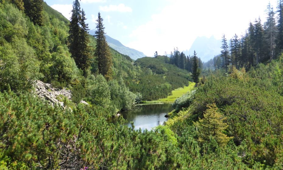 Schwarzsee