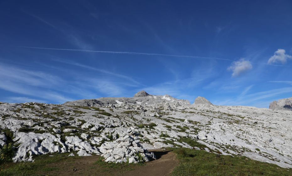 __NO_NAME__ __NO_NAME__