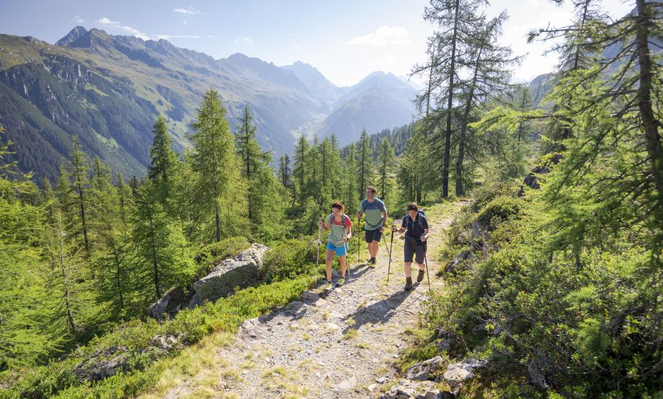 Hike towards Grasjoch Hike towards Grasjoch