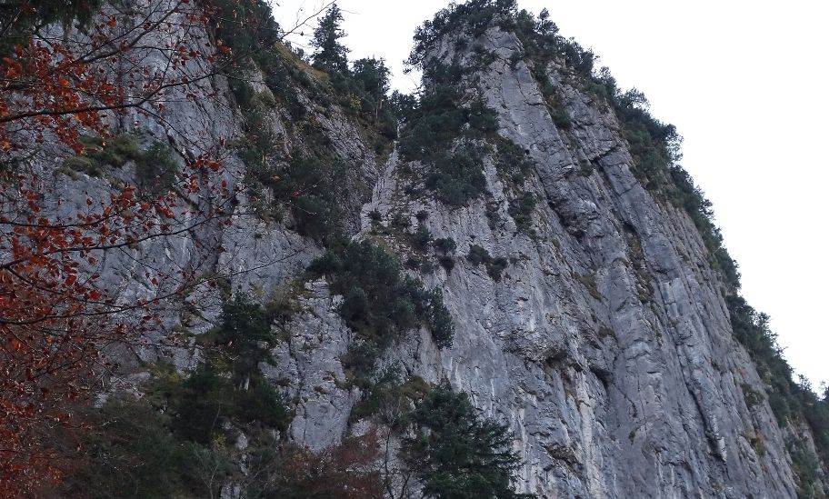 Tourismusbüro Hohenems .jpg.jpeg